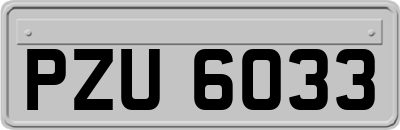 PZU6033