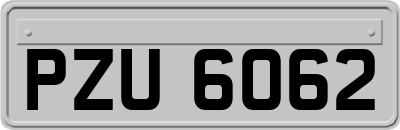 PZU6062