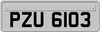 PZU6103