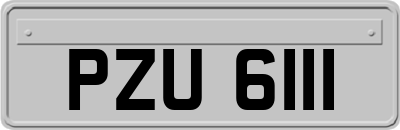 PZU6111