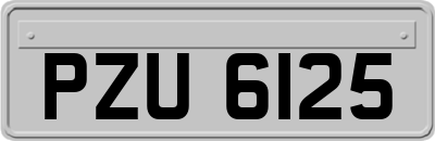 PZU6125