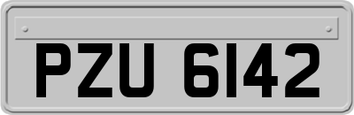 PZU6142