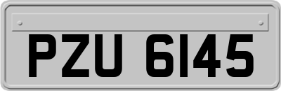 PZU6145