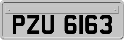 PZU6163