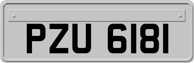 PZU6181