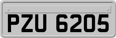 PZU6205