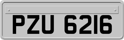 PZU6216