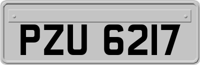 PZU6217