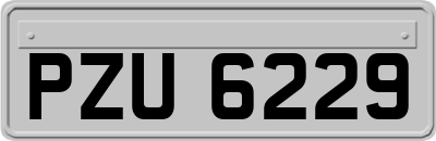 PZU6229