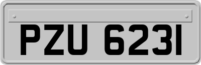 PZU6231