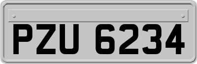 PZU6234