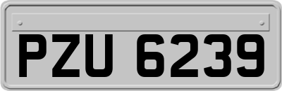 PZU6239