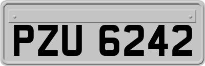 PZU6242