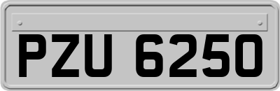 PZU6250