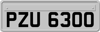 PZU6300