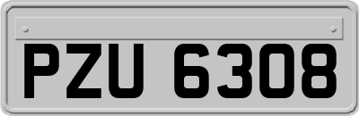 PZU6308