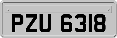 PZU6318