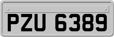 PZU6389