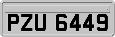 PZU6449