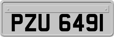 PZU6491