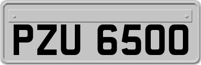 PZU6500