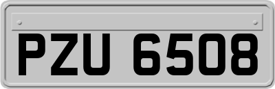 PZU6508