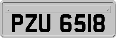 PZU6518