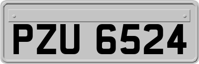 PZU6524