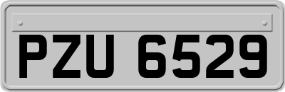 PZU6529