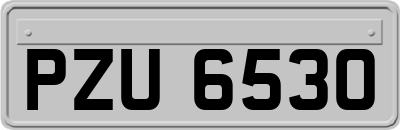 PZU6530