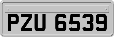 PZU6539