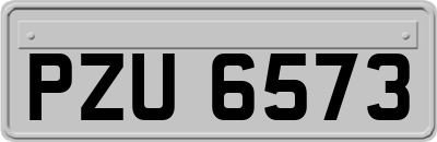 PZU6573