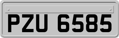 PZU6585