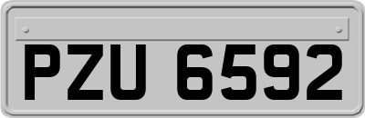 PZU6592