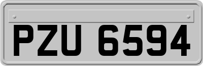 PZU6594