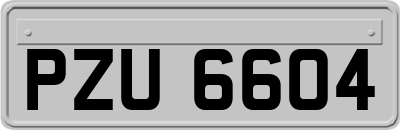 PZU6604