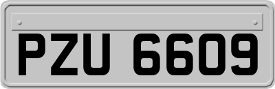 PZU6609