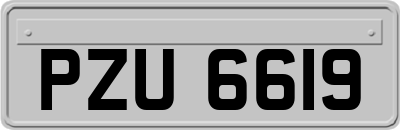 PZU6619