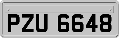 PZU6648