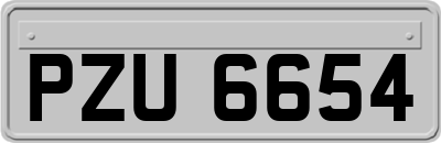 PZU6654