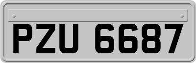 PZU6687