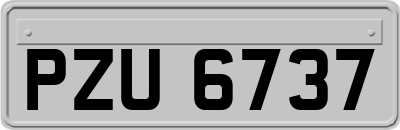 PZU6737