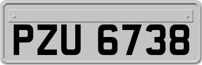 PZU6738