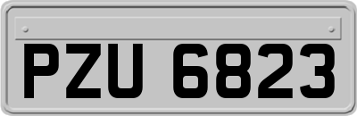 PZU6823