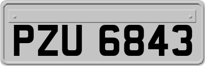 PZU6843