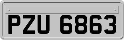 PZU6863