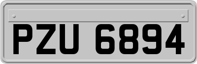 PZU6894