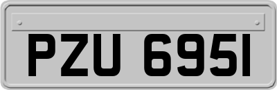 PZU6951