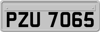 PZU7065