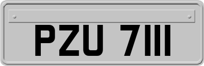 PZU7111